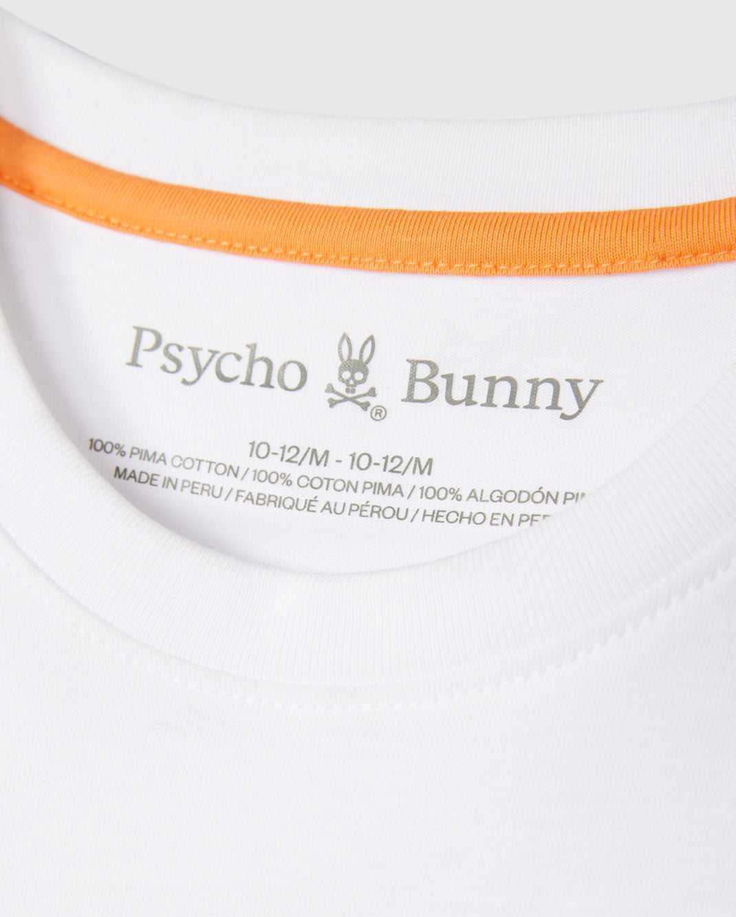 Tees Psycho Bunny Boston Graphic Tee Blanche Enfant | DFD-35475679